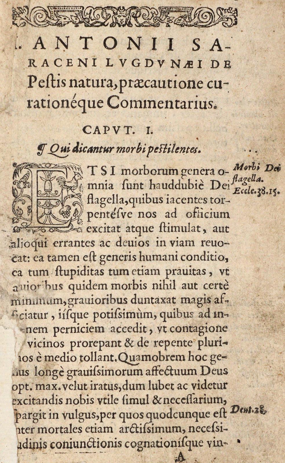 (Saracenus,J.A. | Bild Nr.1